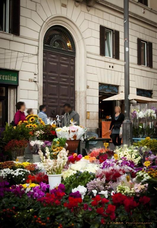 Apartamento Flower *